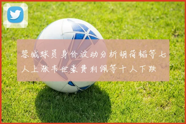 蓉城球员身价波动分析胡荷韬等七人上涨韦世豪费利佩等十人下跌