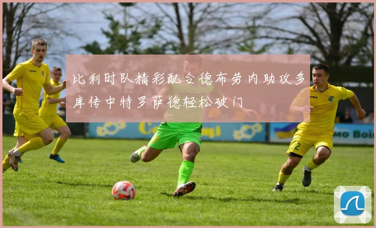 比利时队精彩配合德布劳内助攻多库传中特罗萨德轻松破门