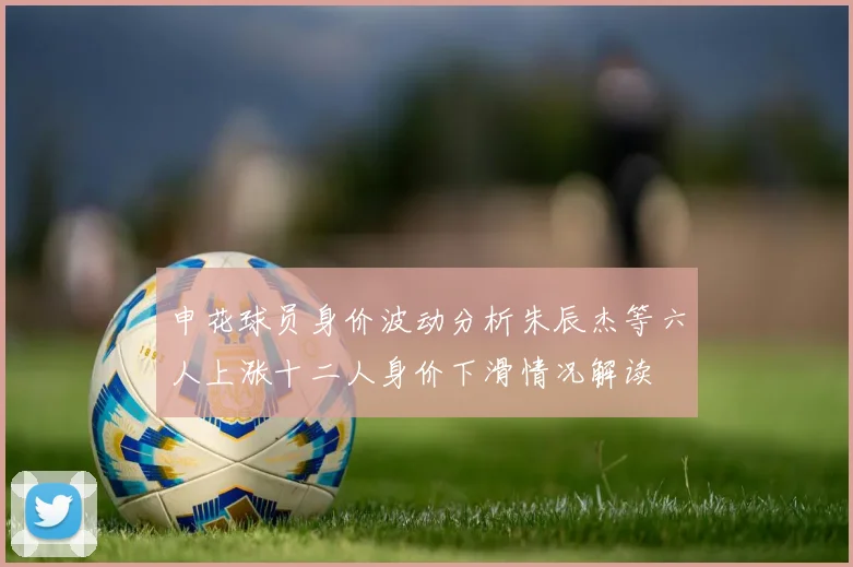 申花球员身价波动分析朱辰杰等六人上涨十二人身价下滑情况解读